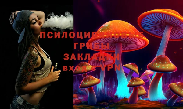 дживик Магас