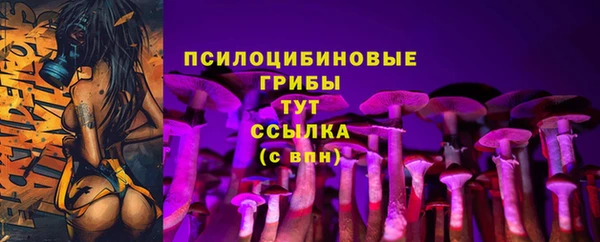 герыч Билибино