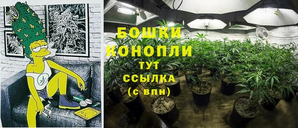 дживик Магас