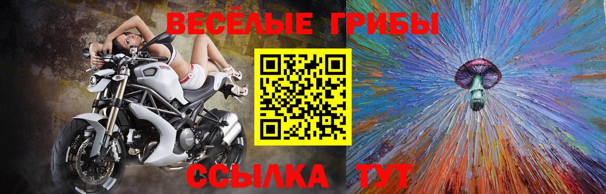 Галлюциногенные грибы Psilocybine cubensis Мичуринск