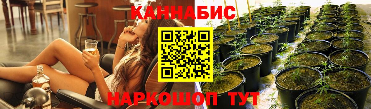Каннабис OG Kush Мичуринск